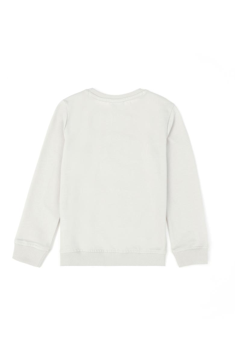Erkek Çocuk Taş Sweatshirt - 50270743029