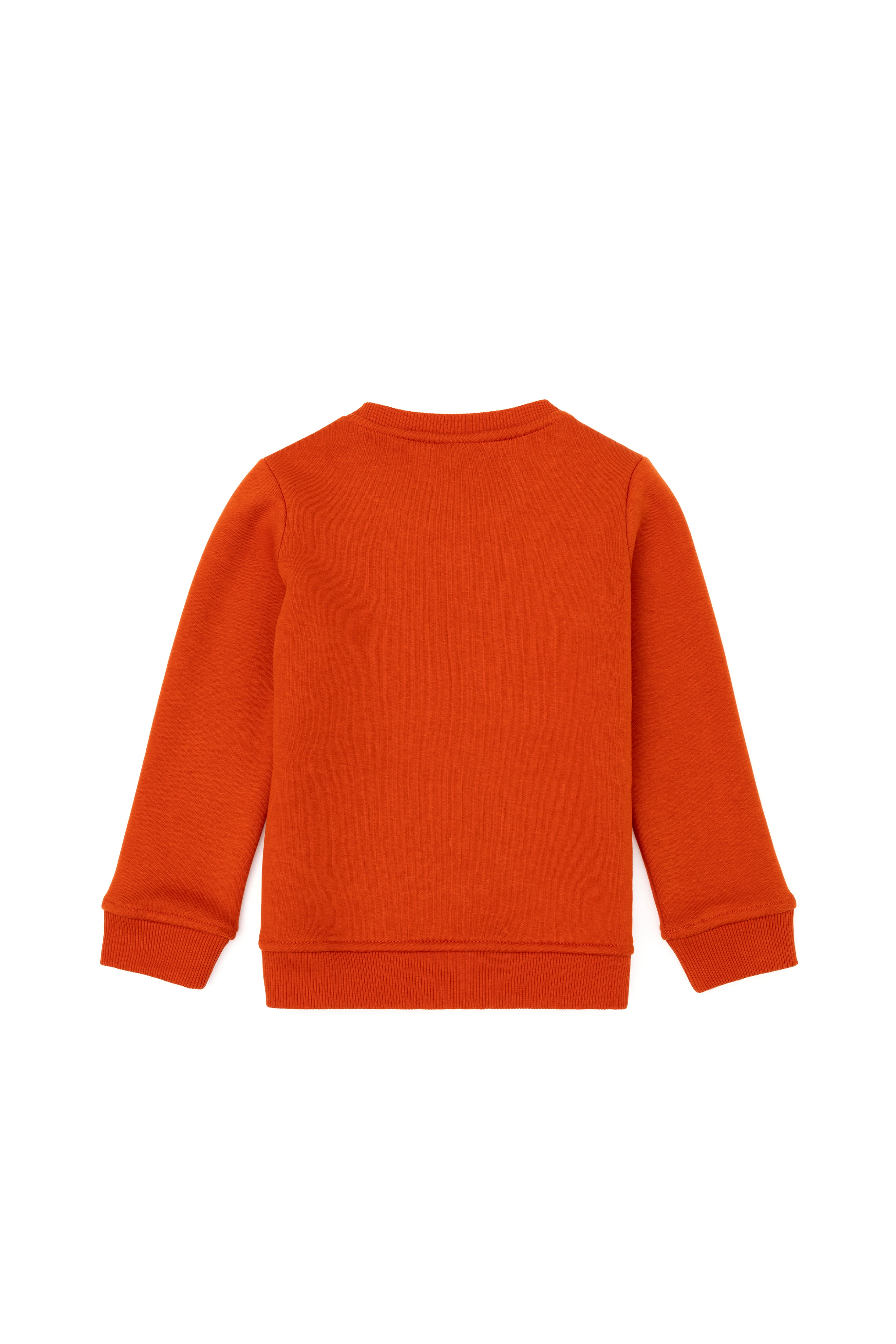 Erkek Çocuk Kiremit Sweatshirt
