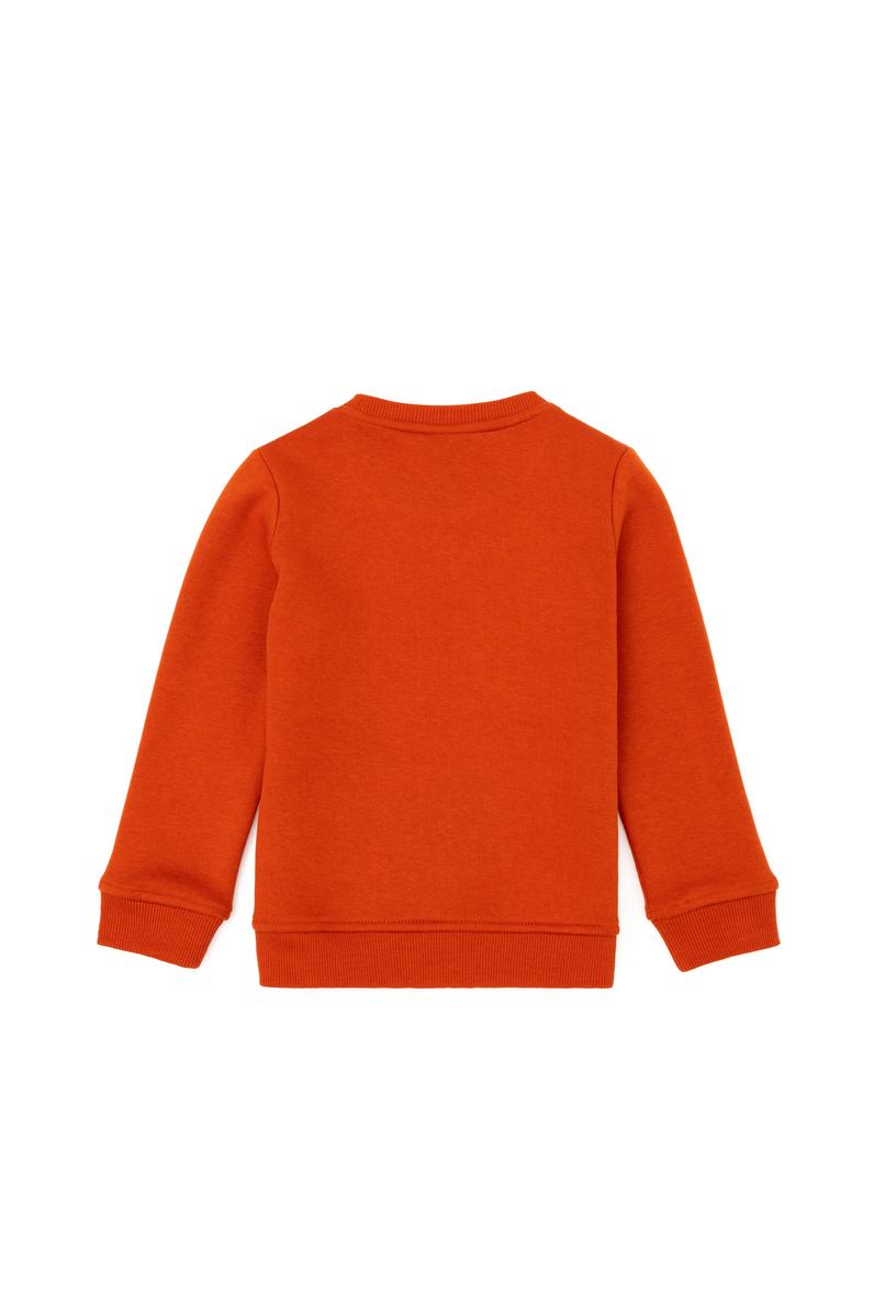 Erkek Çocuk Kiremit Sweatshirt