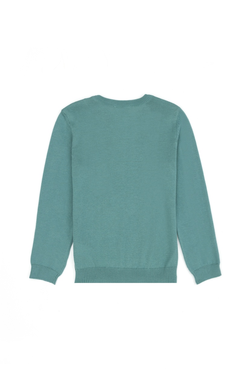 Erkek Çocuk Mint Basic Kazak