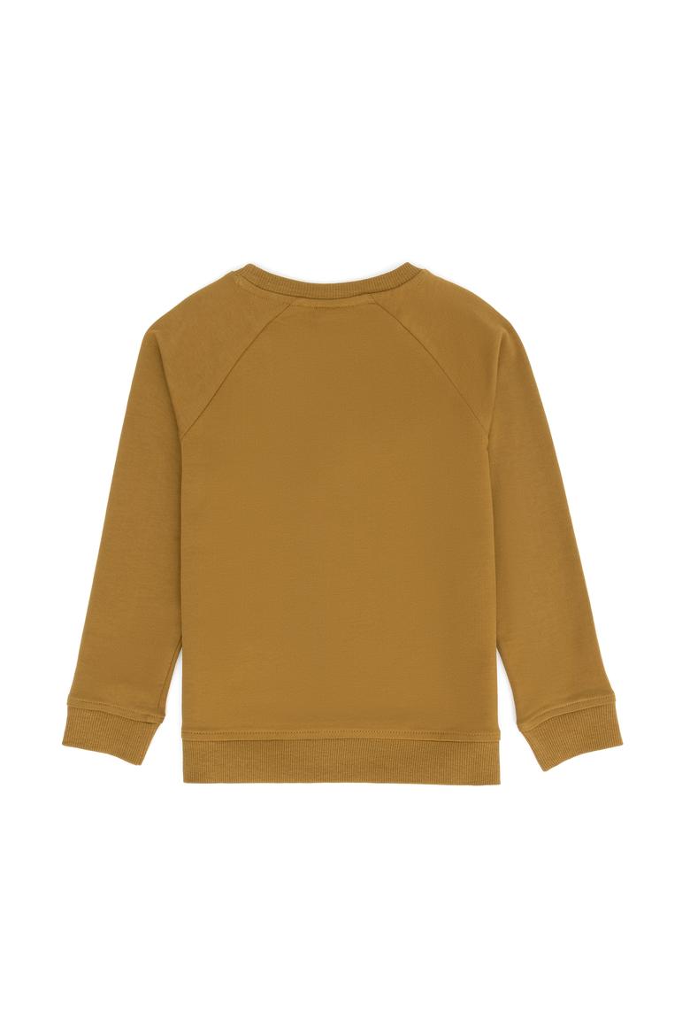 Erkek Çocuk Açık Haki Basic Bisiklet Yaka Sweatshirt - 50273756258