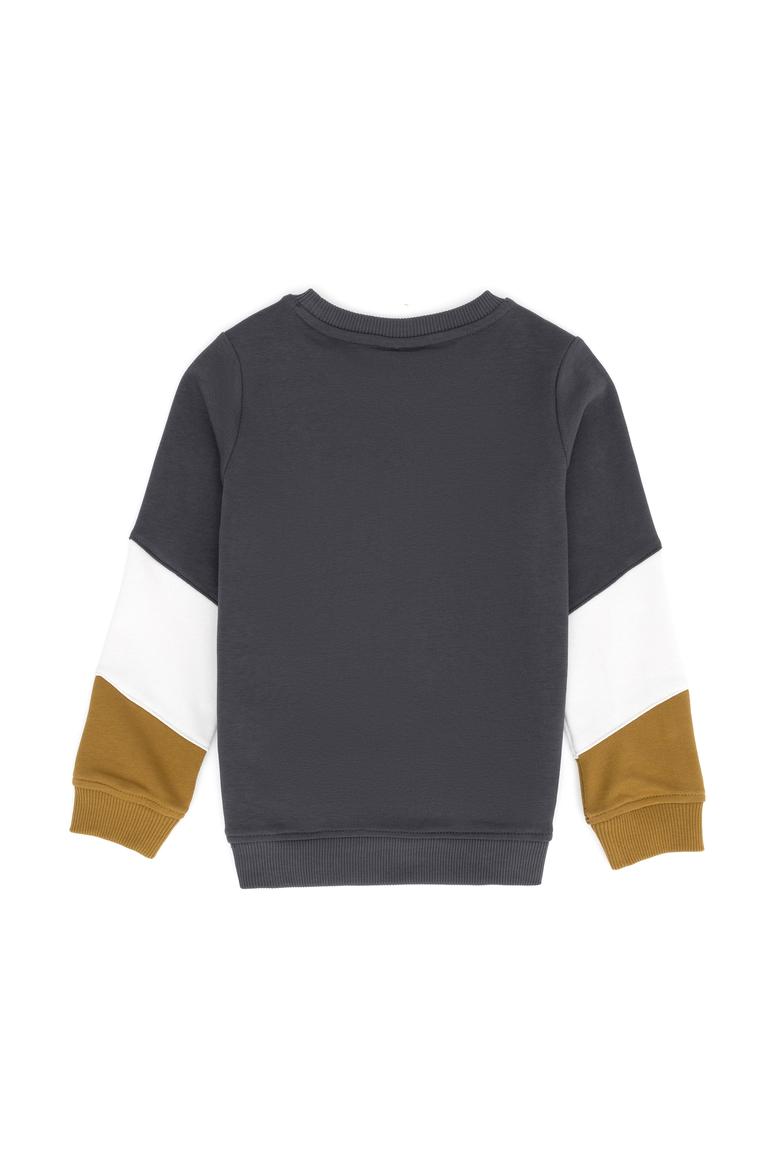 Erkek Çocuk Antrasit Bisiklet Yaka Sweatshirt - 50274452012