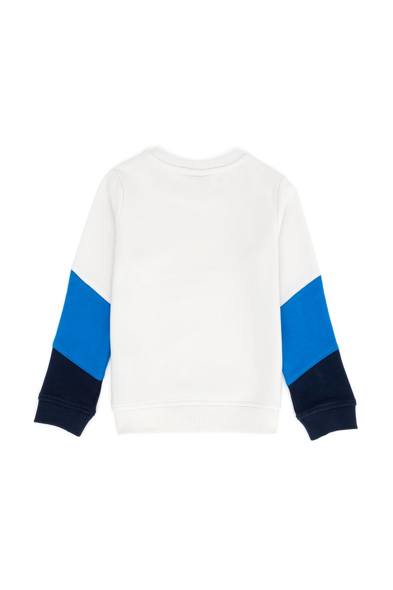 Erkek Çocuk Taş Bisiklet Yaka Sweatshirt - 50274452003