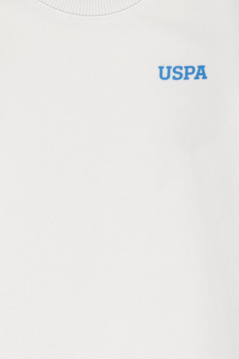 Erkek Çocuk Taş Bisiklet Yaka Sweatshirt - 50274452003