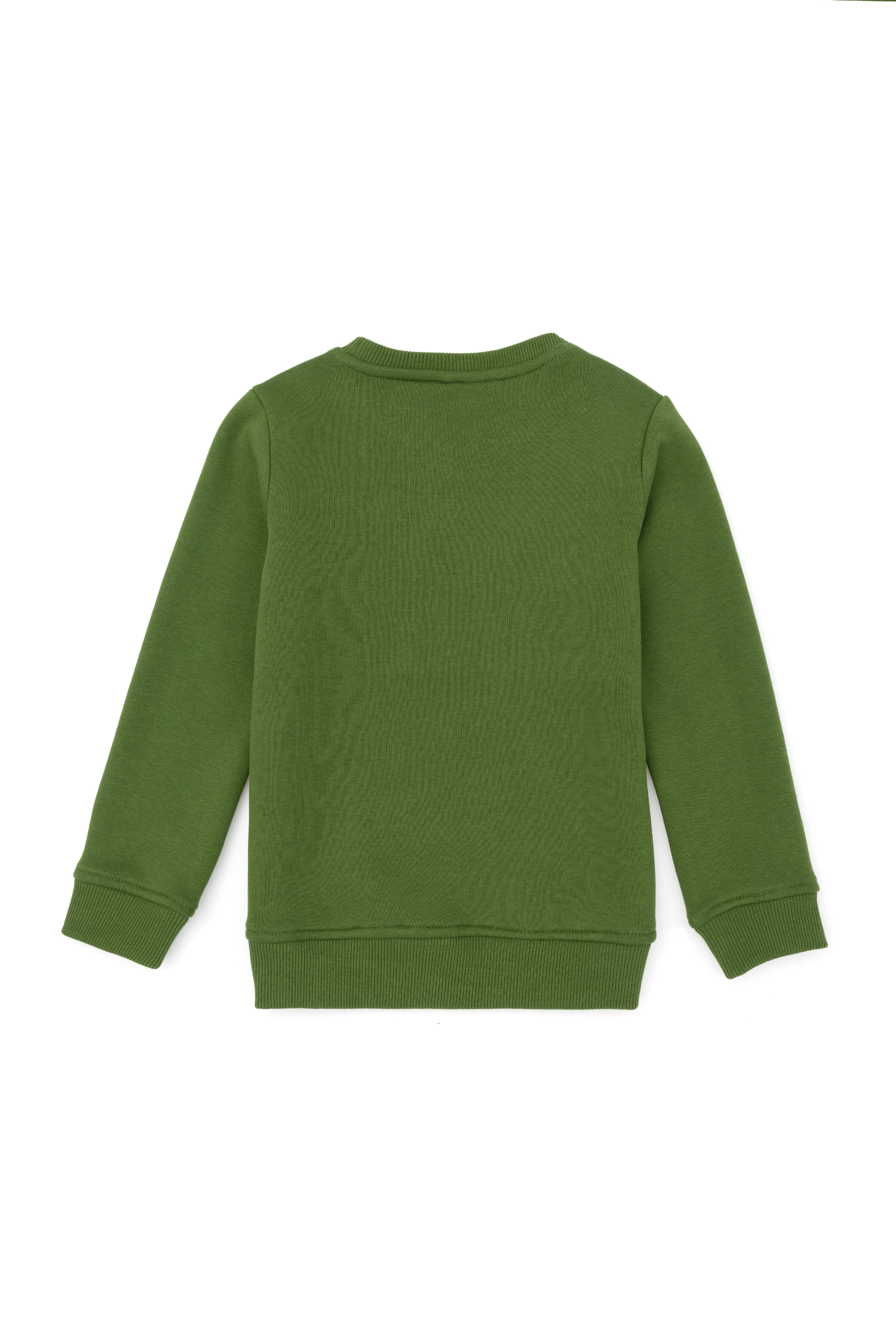 Erkek Çocuk Yeşil Sweatshirt - Image 1