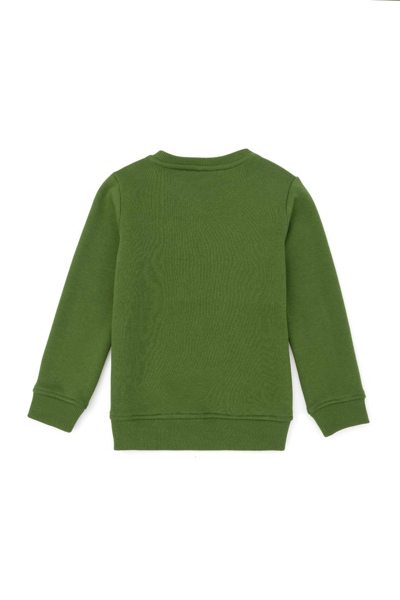 Erkek Çocuk Yeşil Sweatshirt - 50270796033
