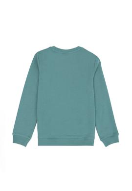 Erkek Çocuk Mint Sweatshirt - 50270759052