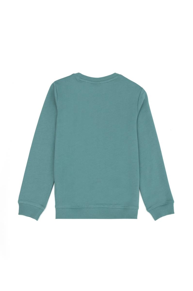 Erkek Çocuk Mint Sweatshirt
