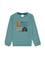 Erkek Çocuk Mint Sweatshirt