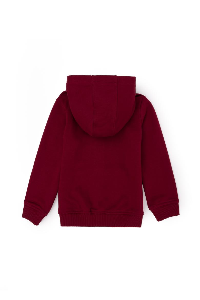 Erkek Çocuk Bordo Basic Sweatshirt - 50269418079