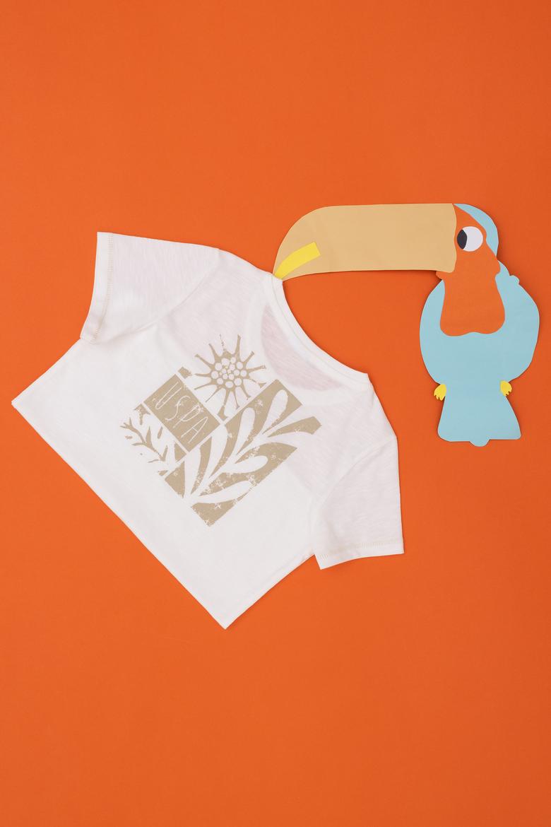 Erkek Çocuk Ekru Bisiklet Yaka Tişört - 50281051034