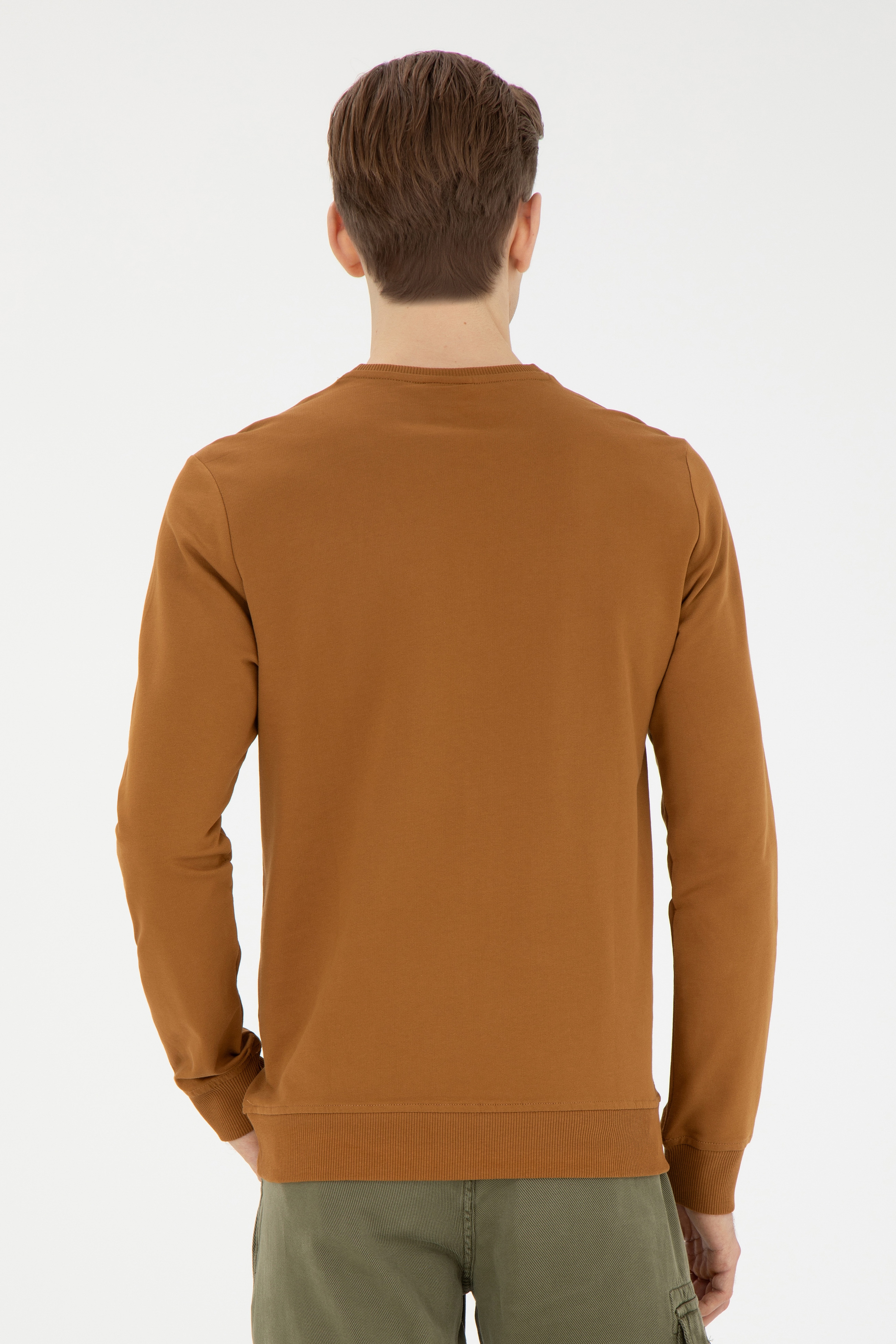 Erkek Coconut Basic Sweatshirt - Image 5