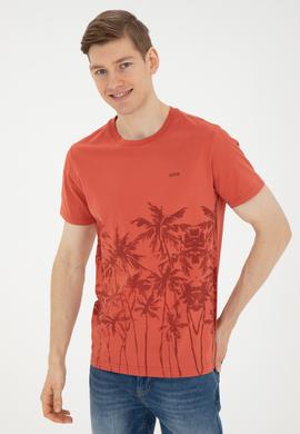 Erkek Pudra Tişört - 50287082021