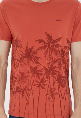 Erkek Pudra Tişört - 50287082021