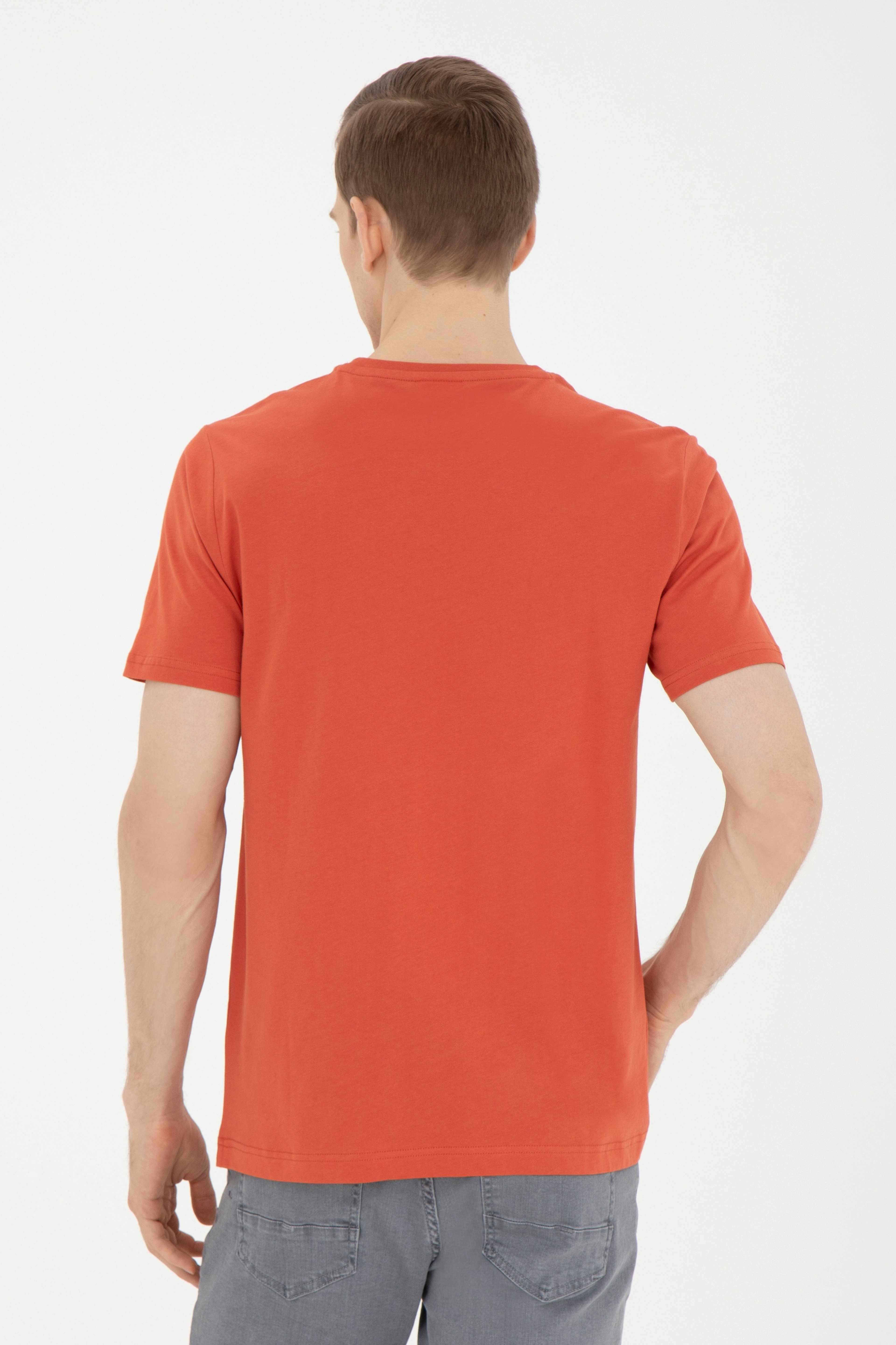 Erkek Regular Fit Bisiklet Yaka Pudra Tişört - Image 5