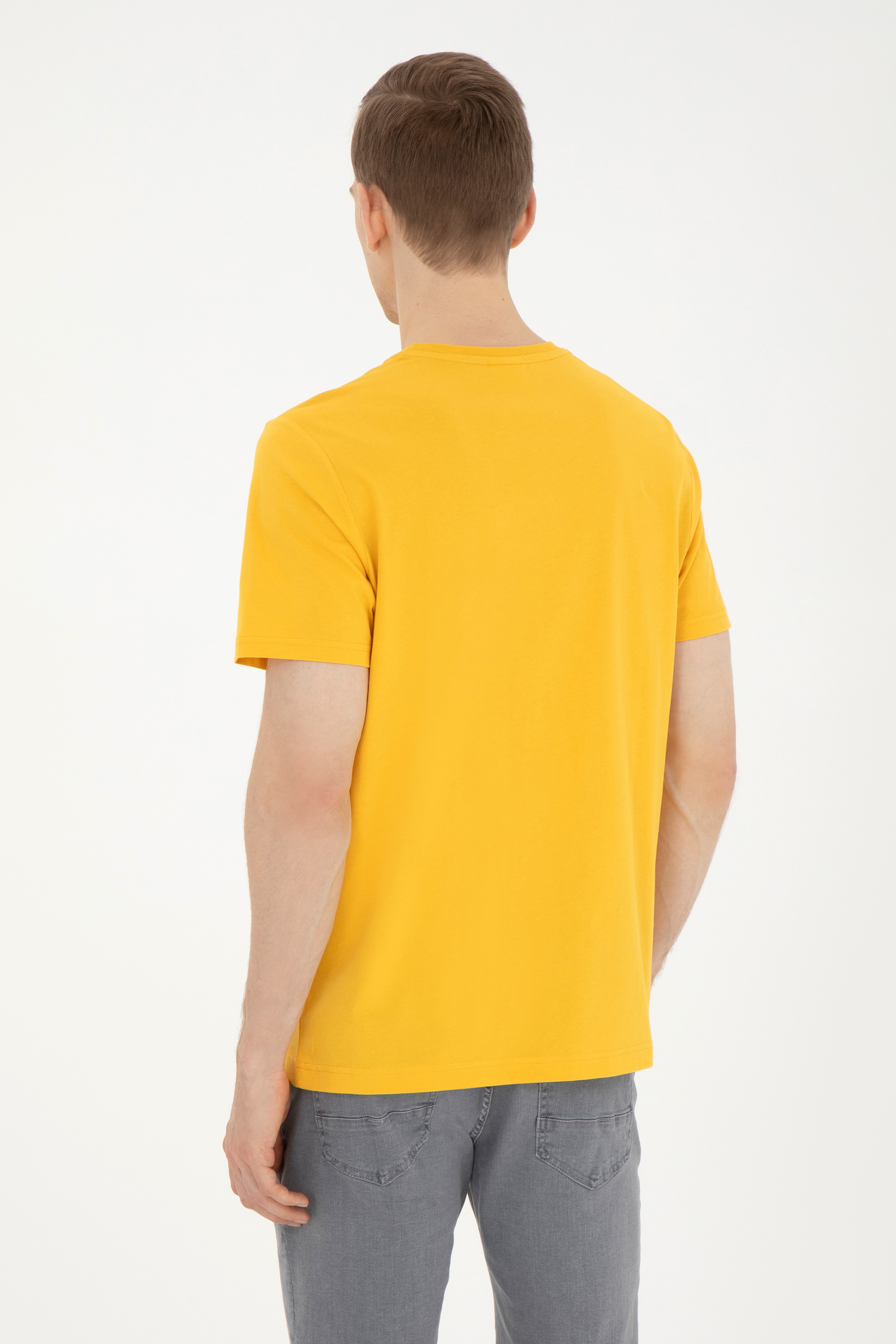 Erkek Regular Fit Bisiklet Yaka Safran Tişört - Image 5