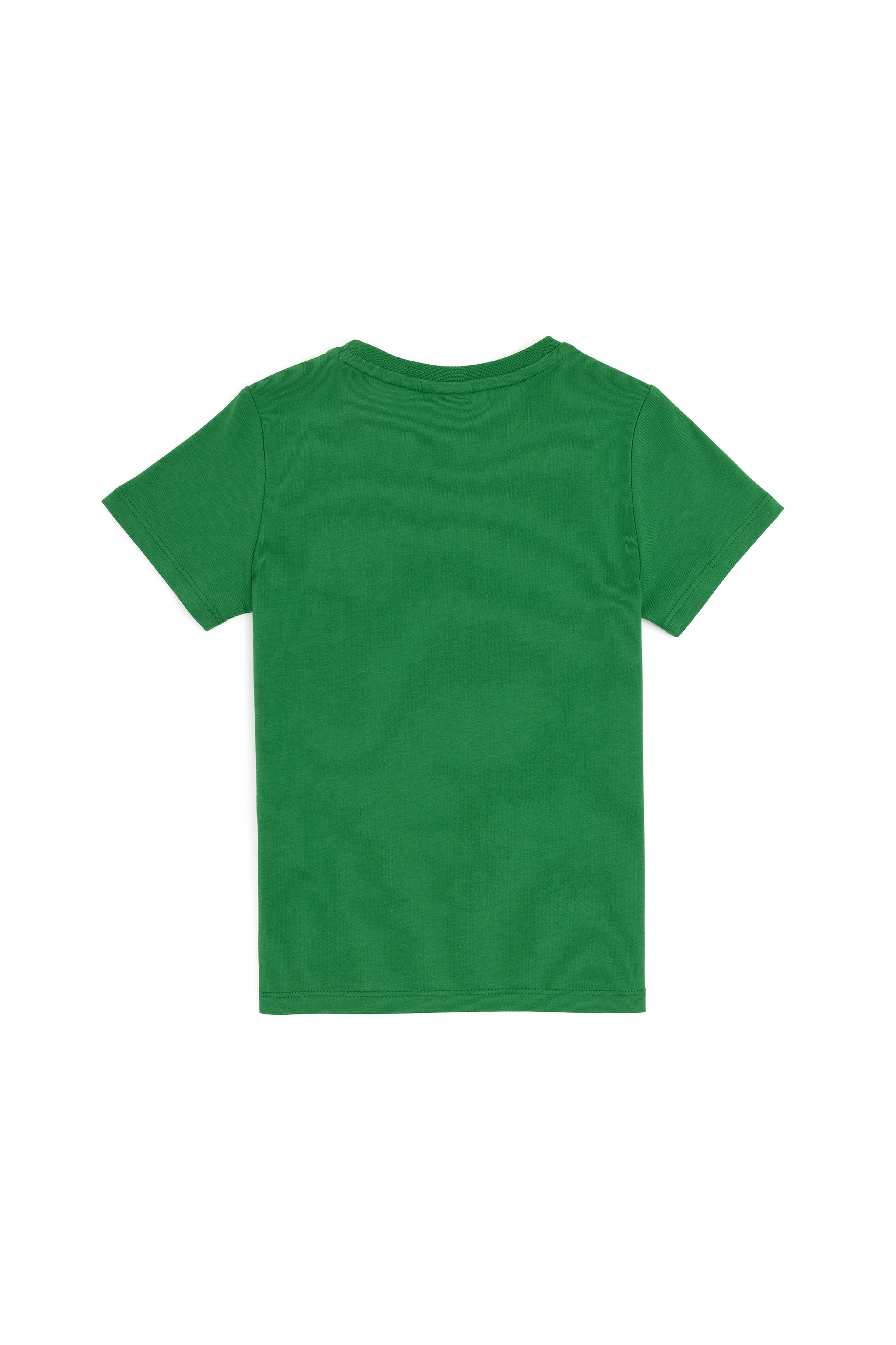 Erkek Çocuk Yeşil Basic Bisiklet Yaka Tişört - Image 6