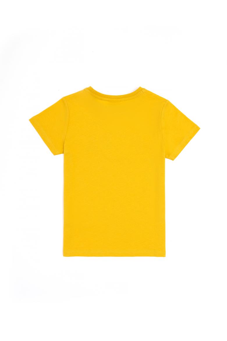 Erkek Çocuk Safran Bisiklet Yaka Tişört - 50288056031
