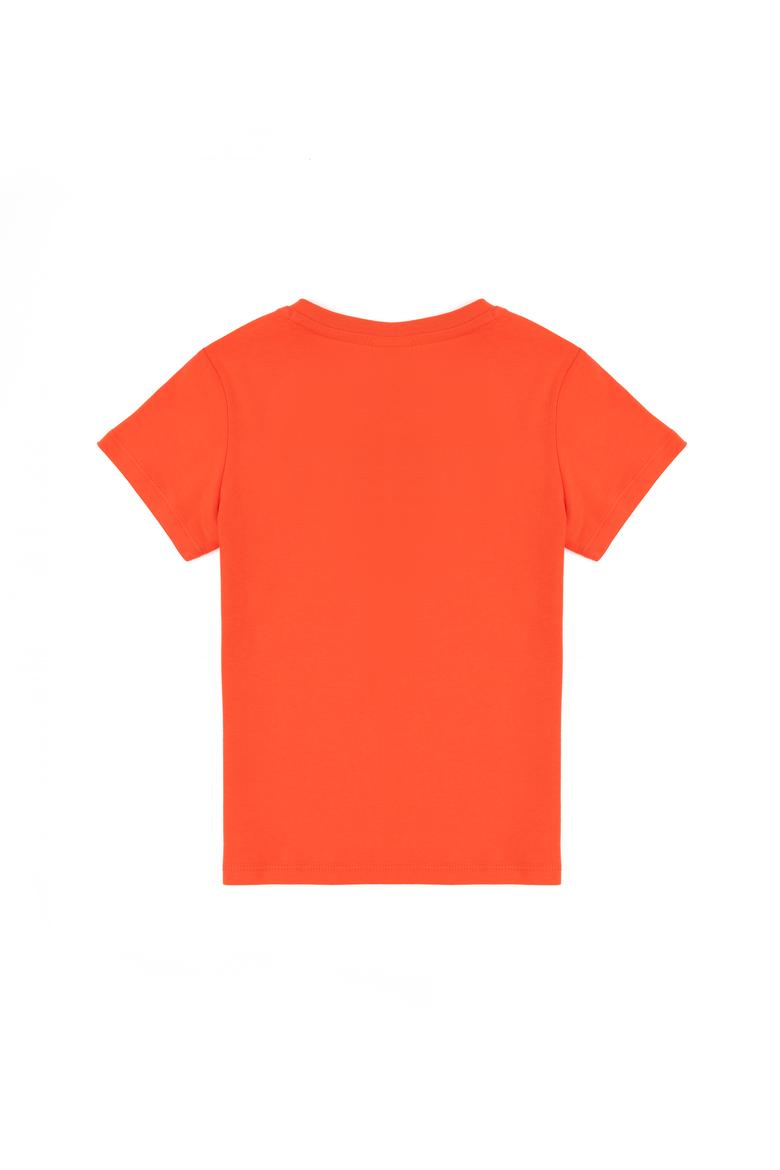 Erkek Çocuk Nar Çiçeği Bisiklet Yaka Tişört - 50284816085