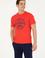 Erkek Regular Fit Bisiklet Yaka Kırmızı Tişört