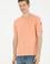 Erkek Somon Basic Tişört