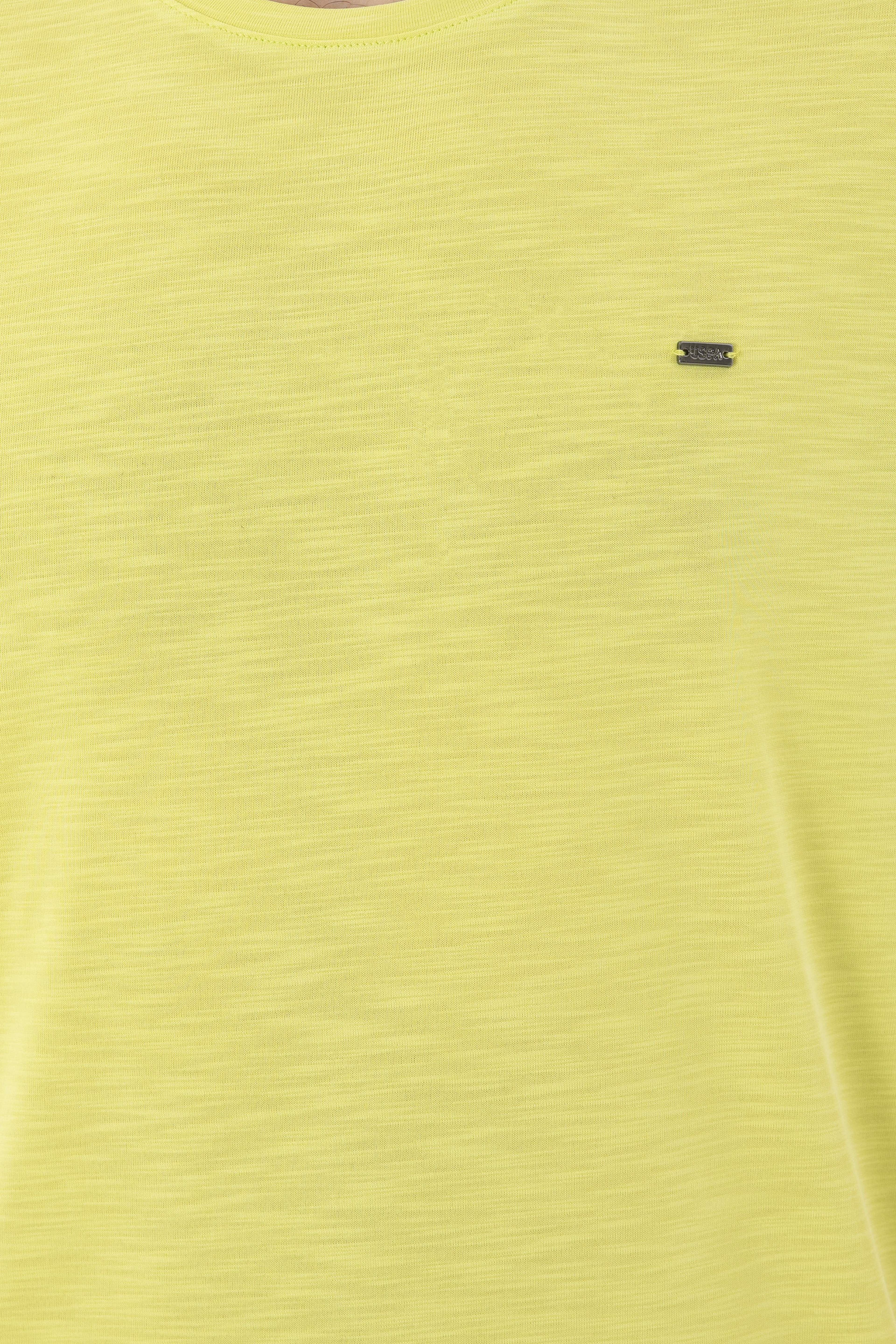 Erkek Regular Fit Bisiklet Yaka Fıstık Yeşili Basic Tişört