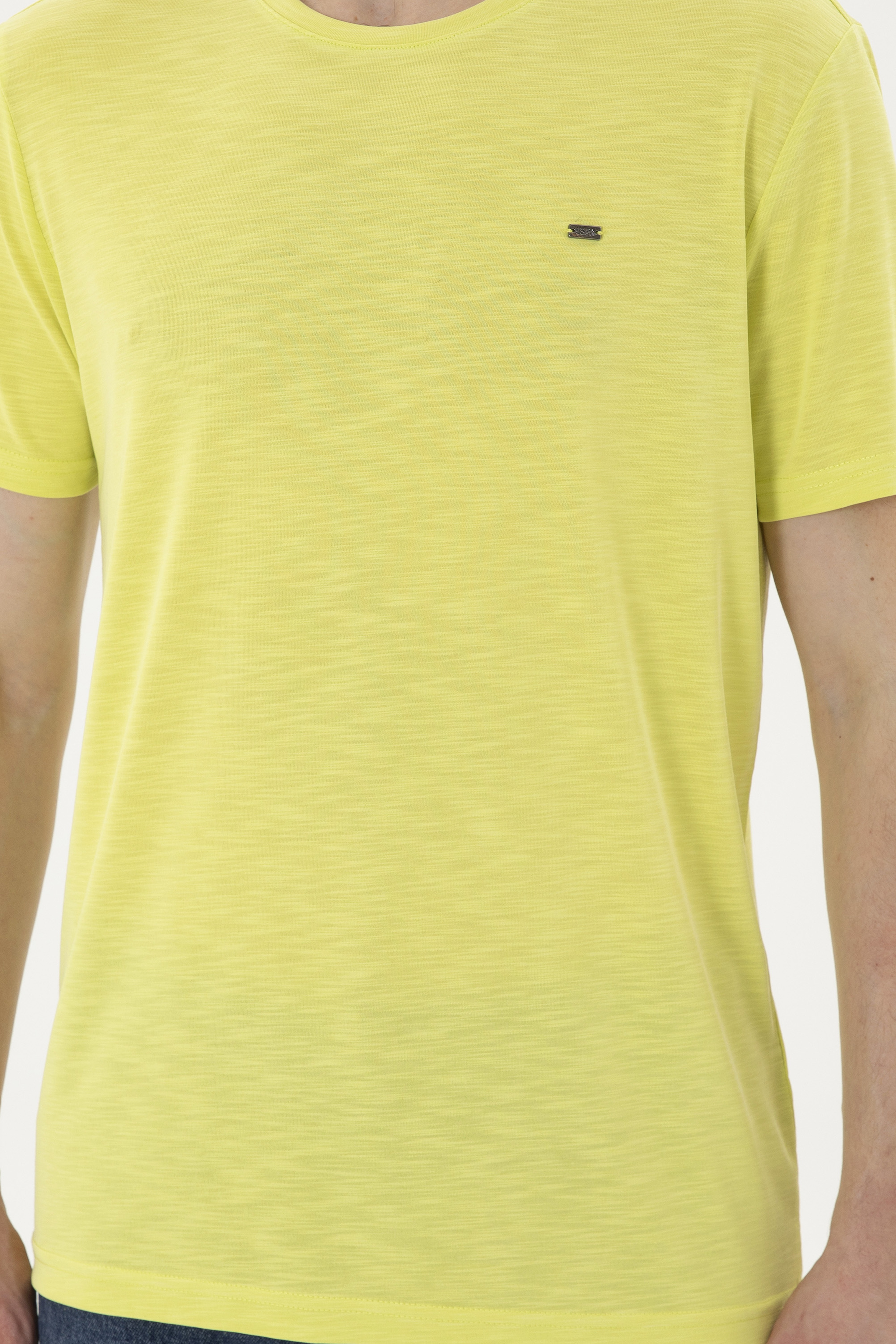 Erkek Regular Fit Bisiklet Yaka Fıstık Yeşili Basic Tişört - Image 6