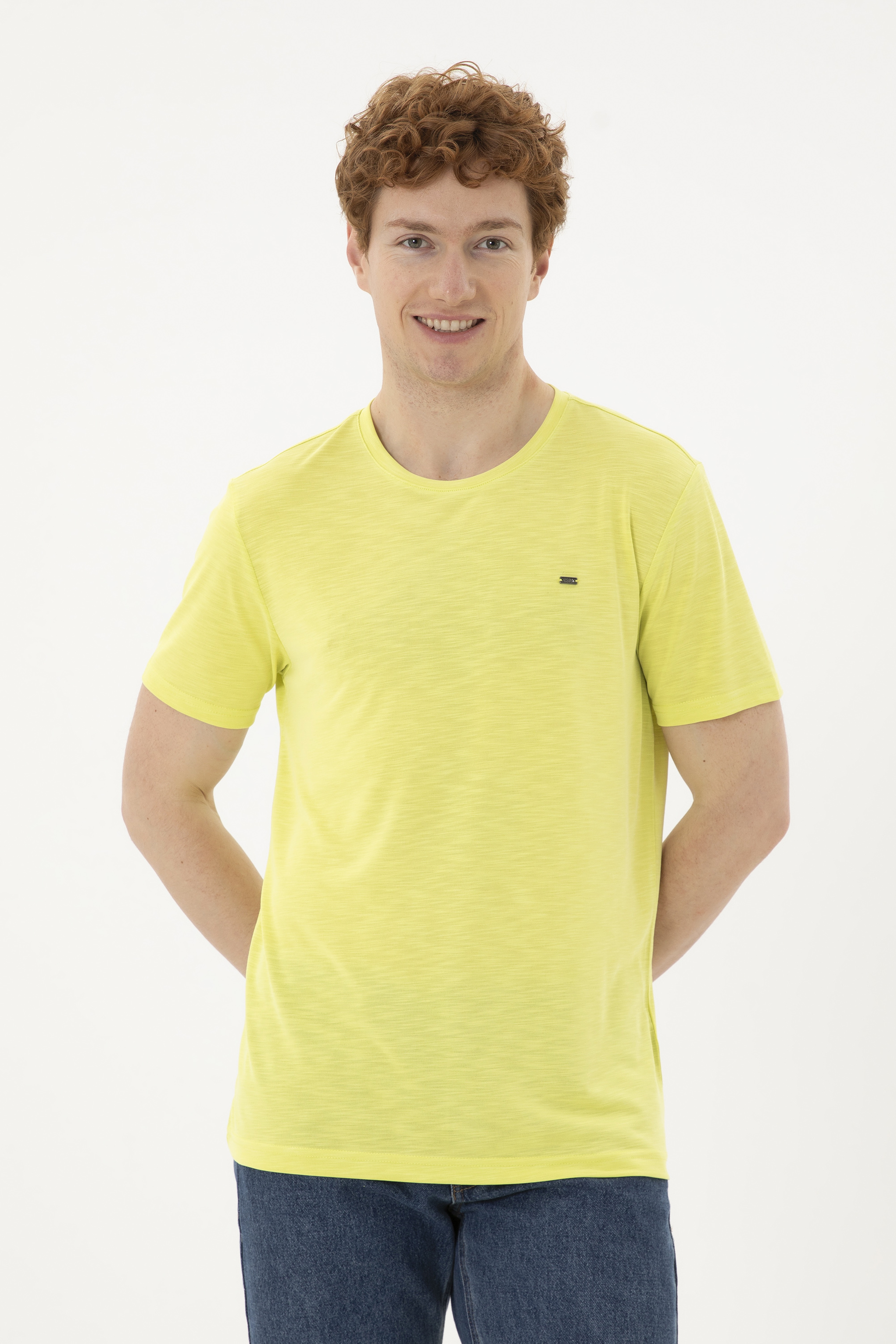 Erkek Regular Fit Bisiklet Yaka Fıstık Yeşili Basic Tişört - Image 3