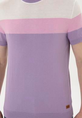 Erkek Slim Fit Bisiklet Yaka Lila Kazak - 50280430035