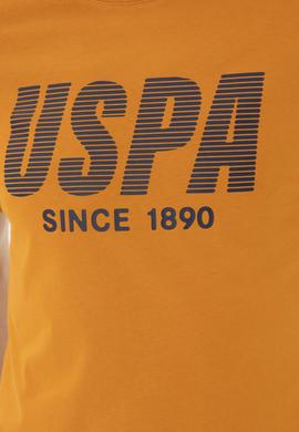 Erkek Regular Fit Bisiklet Yaka Kiremit Tişört - 50282027029