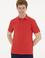 Erkek Kırmızı Basic Polo Yaka Tişört