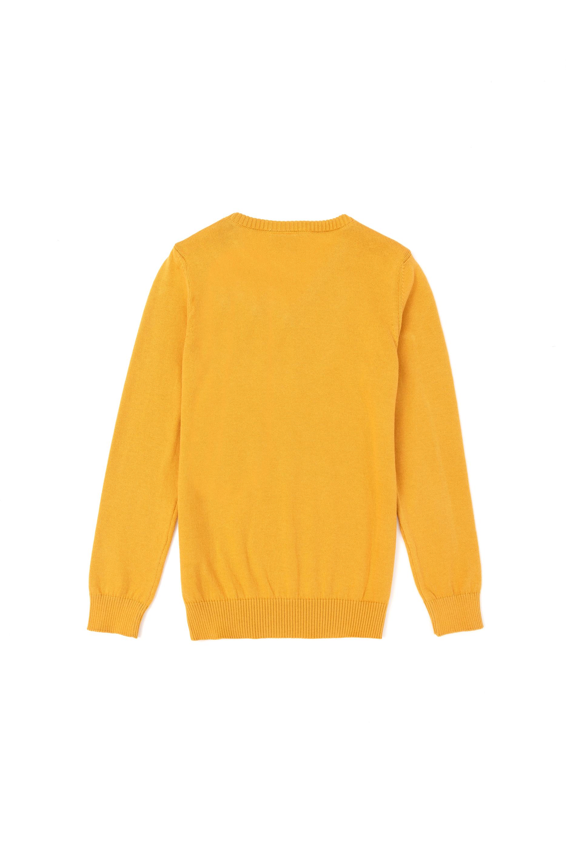 Erkek Çocuk Hardal Basic Kazak