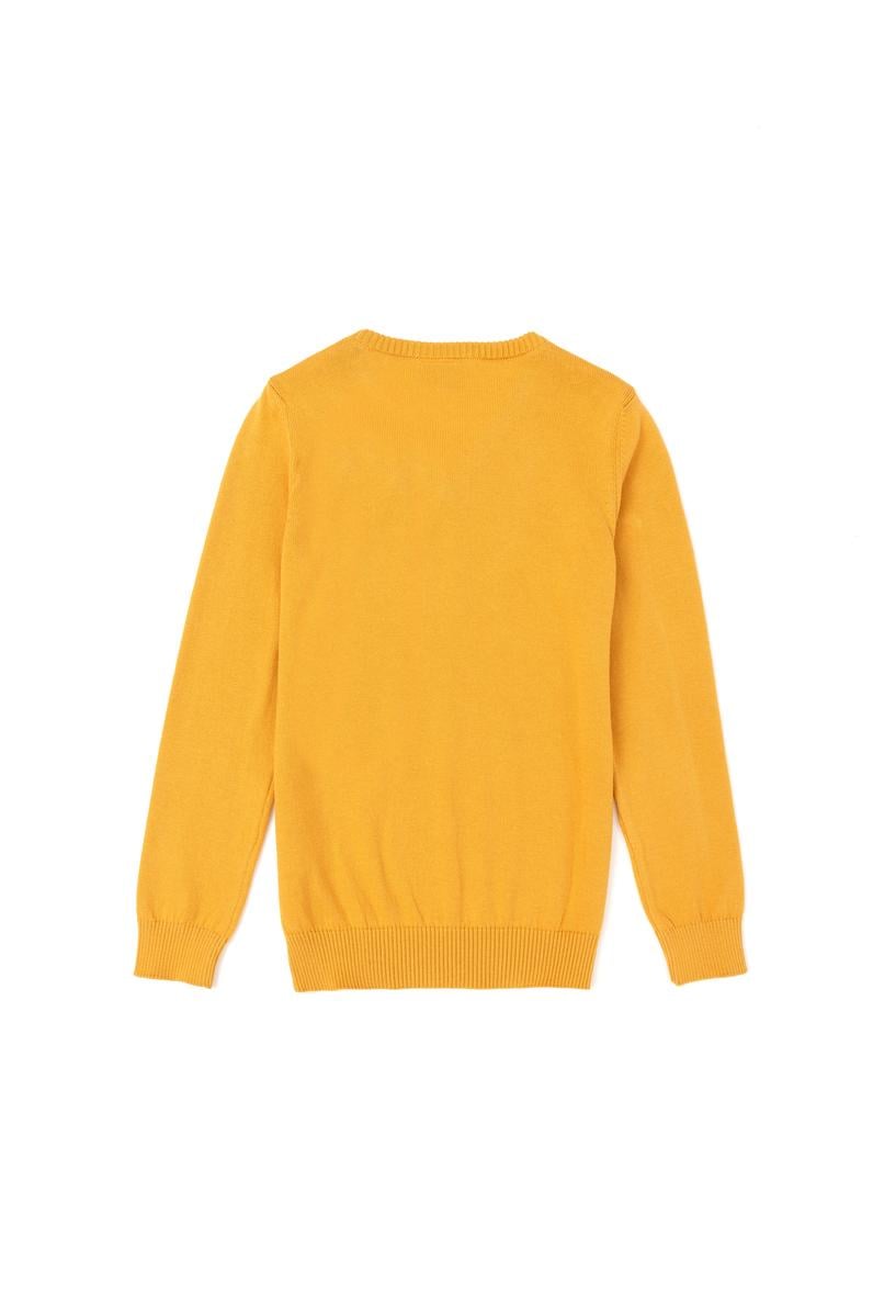 Erkek Çocuk Hardal Basic Kazak