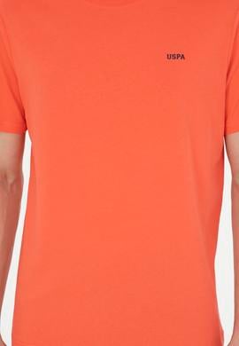 Erkek Nar Çiçeği Basic Tişört - 50284640131