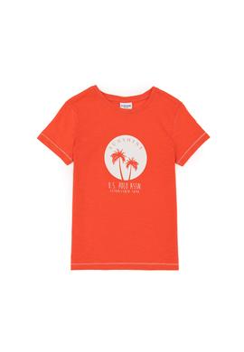 Erkek Çocuk Nar Çiçeği Bisiklet Yaka Tişört - 50281050049