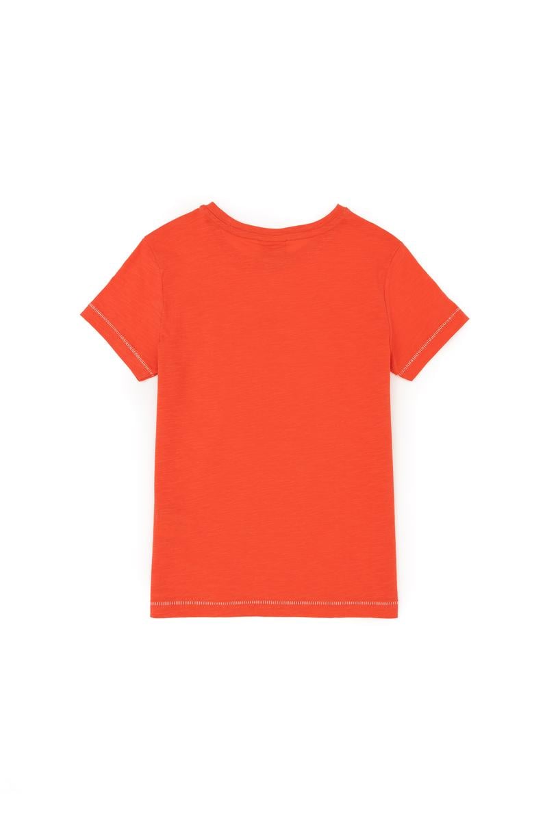 Erkek Çocuk Nar Çiçeği Bisiklet Yaka Tişört