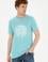 Erkek Regular Fit Bisiklet Yaka Mint Tişört
