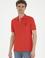 Erkek Regular Fit Polo Yaka Kırmızı Basic Tişört