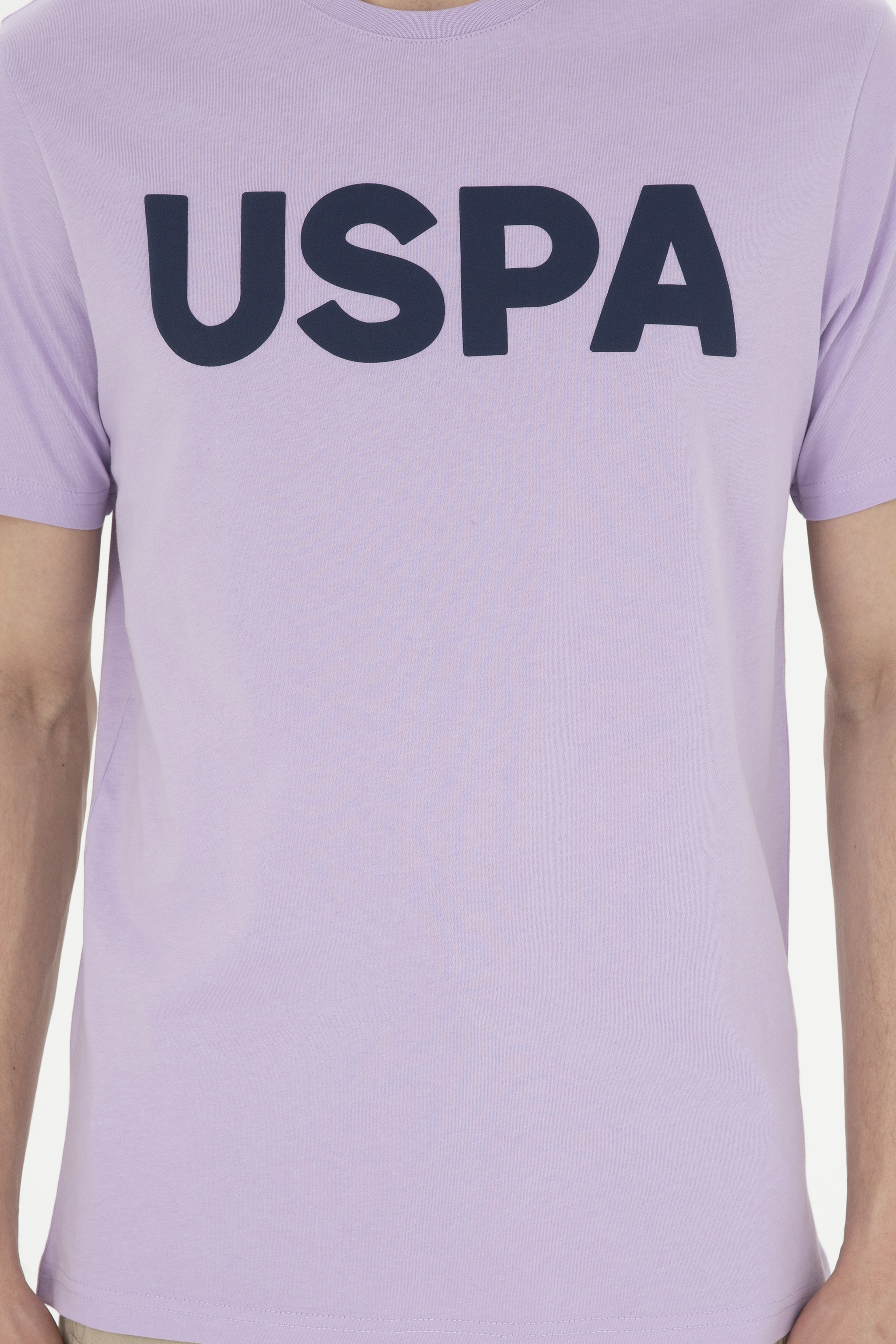 Erkek Regular Fit Bisiklet Yaka Lila Basic Tişört