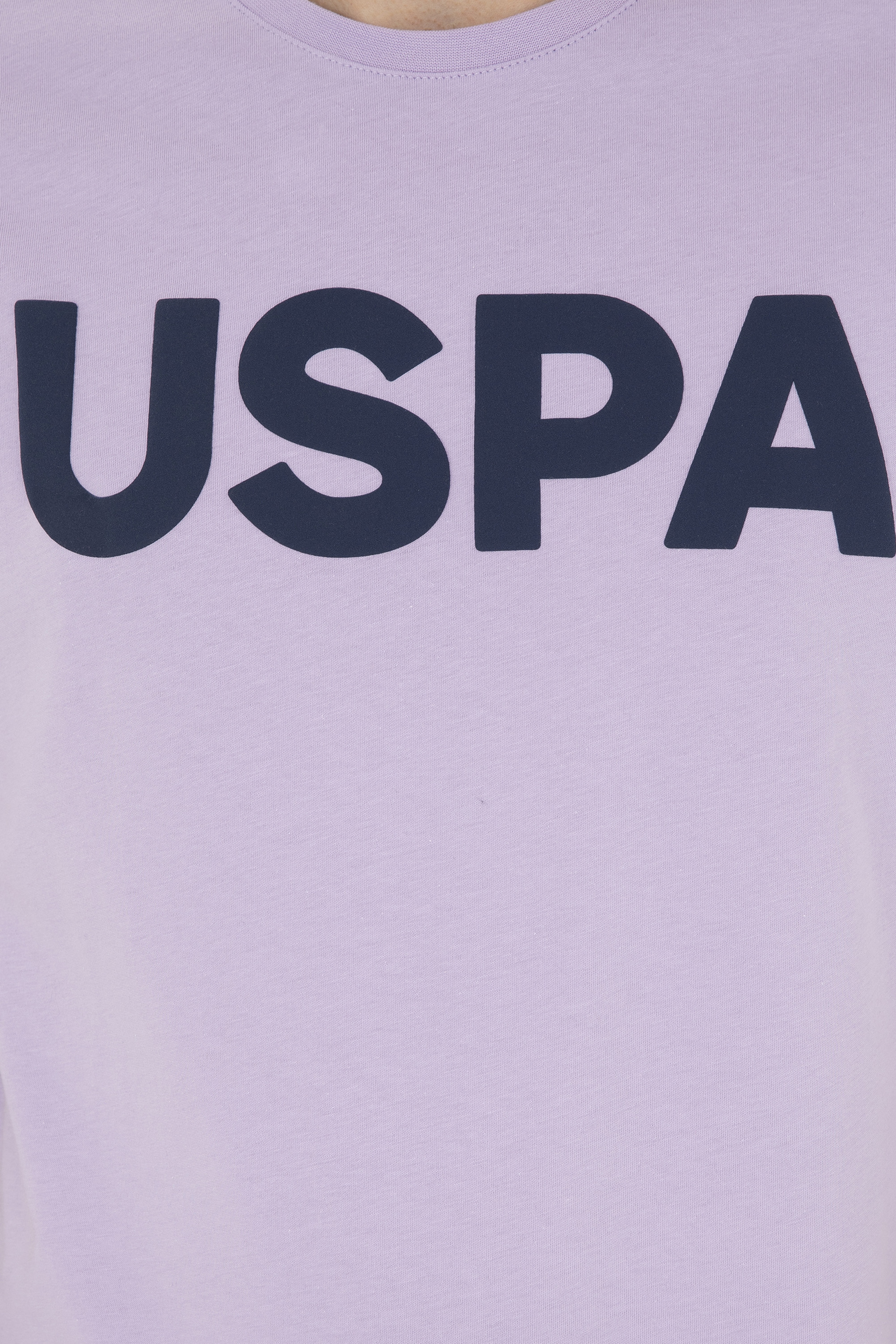 Erkek Regular Fit Bisiklet Yaka Lila Basic Tişört - Image 7