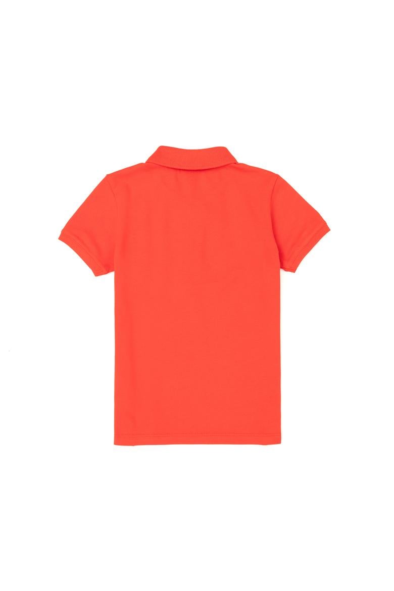 Erkek Çocuk Kırmızı Basic Tişört - 50279572067