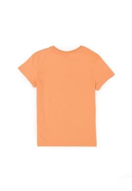 Erkek Çocuk Somon Basic Bisiklet Yaka Tişört - 50279612116