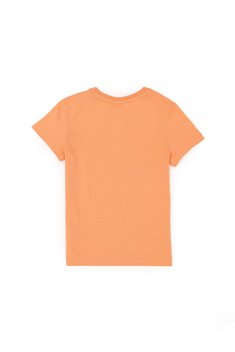 Erkek Çocuk Somon Basic Bisiklet Yaka Tişört - 50279612116