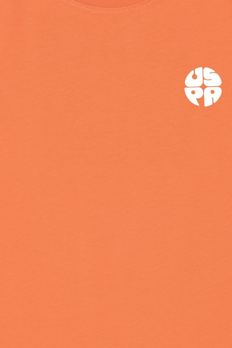 Erkek Çocuk Nar Çiçeği Bisiklet Yaka Tişört - 50288062046