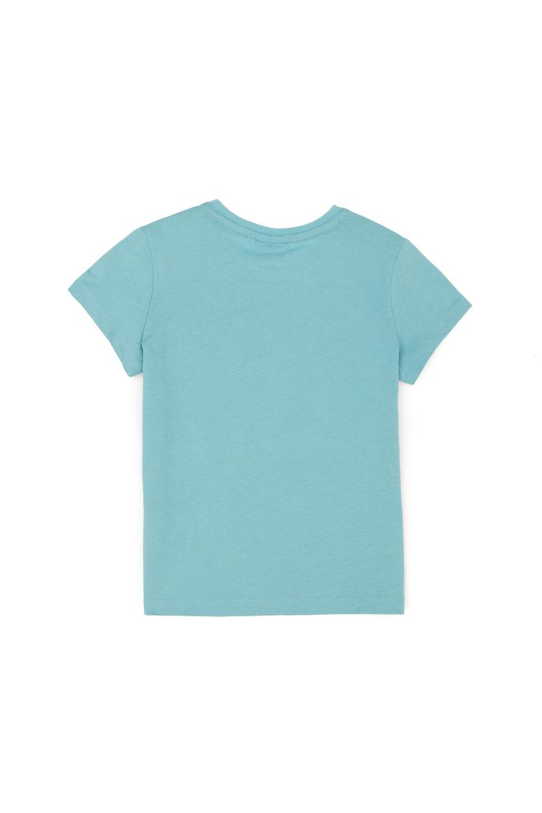 Erkek Çocuk Mint Basic Bisiklet Yaka Tişört - 50279612159