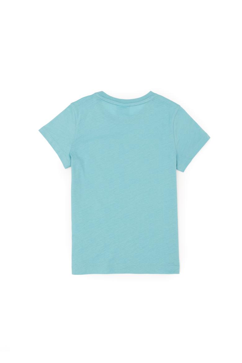 Erkek Çocuk Mint Basic Tişört - 50279614076