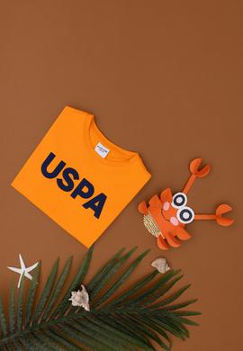 Erkek Çocuk Turuncu Basic Bisiklet Yaka Tişört - 50279614110