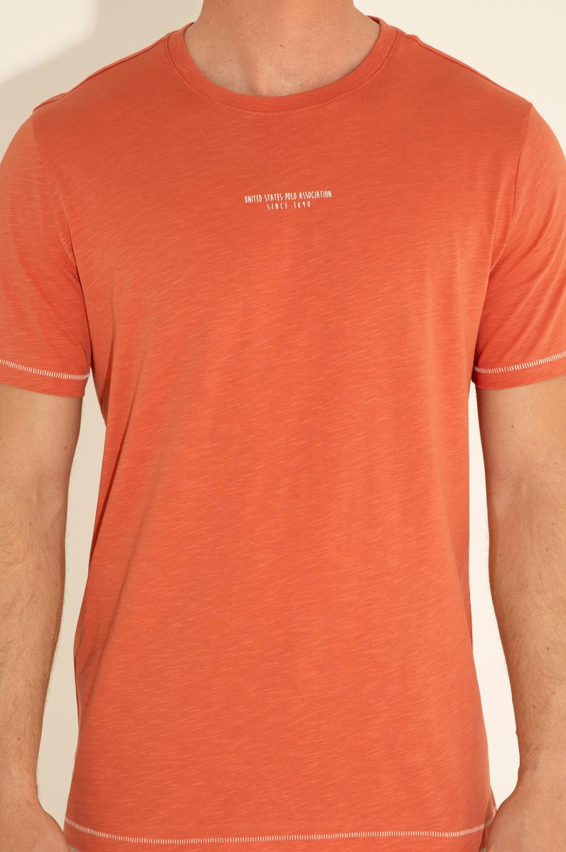 Erkek Regular Fit Bisiklet Yaka Pudra Tişört