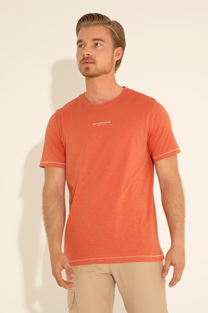 Erkek Regular Fit Bisiklet Yaka Pudra Tişört