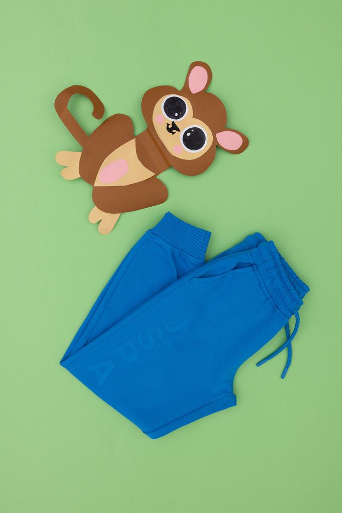 Erkek Çocuk Saks Eşofman Altı